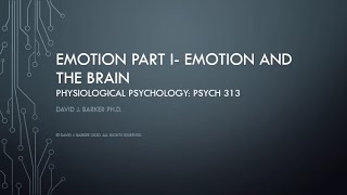 15 The Neuroscience of Emotion [upl. by Rubina954]