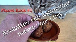 Kroketten van kattenvoer maken voor Lina  Planet Kook 1  Planet Michell [upl. by Sands579]