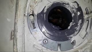 LA PEOR INSTALASION DE BRIDA COFLEX para sanitario WC que he visto en mi vida [upl. by Eenad]