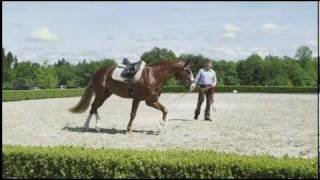 Reiten mit Marc de Broissia [upl. by Greenebaum]