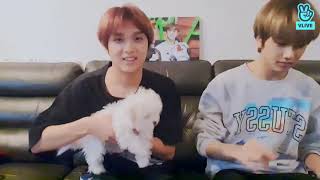 ENGINATHAI SUB NCT DREAM HAECHAN JISUNG CHENLE VLIVE ft Daegal [upl. by Silber]