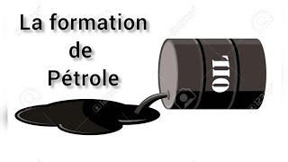 La formation du pétrole [upl. by Riffle]