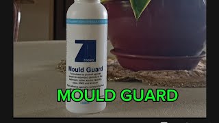 HOW TO REMOVE WALL MOULD USING MOULD GUARD ofwlife hkyoutuber [upl. by Krista]