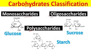 Different Types of Carbohydrates Monosaccharides Oligosaccharides and Polysaccharides Explained [upl. by Osborne72]