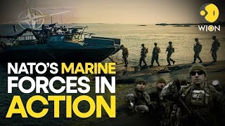 NATO’s Marine forces in action On land and sea  World English News  NATO Live  WION Live [upl. by Ihtak37]