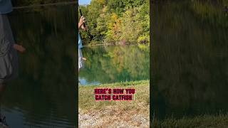 THIS Is HOW TO Catch A CATFISH 🎣🐟 shorts fishing [upl. by Idet]