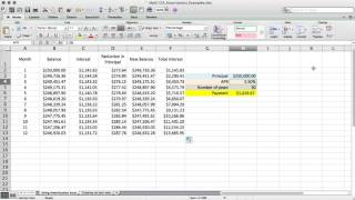 Excel Amortization Demonstration [upl. by Quenby]