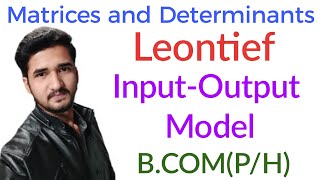 Leontief InputOutput modelMatricesLeontief inputOutput model in hindiMathematicsBCOMPH [upl. by Nylkaj393]