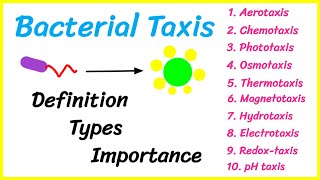 Bacterial Taxis  Types  Significance  microorganisms microbiology basicappliedmicrobiology [upl. by Whatley]