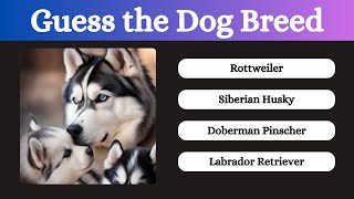 Can You REALLY Guess the Dog Breed [upl. by Reiche619]