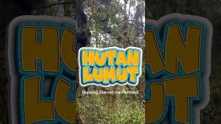 HUTAN LUMUT 2024 [upl. by Ylle]