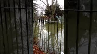 Lammas park in Staines flooded today [upl. by Akehsar]