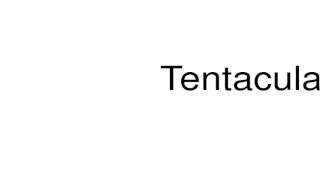 How to pronounce Tentaculata [upl. by Ahsetan]