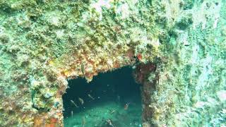 bidong island diving [upl. by Tammany]