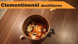 🌷 Clementinen destillieren 🌻  ätherisches Öl selber machen  diSTILLed [upl. by Ahsemik]