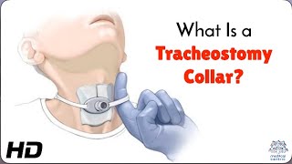 Tracheostomy Collar Care Tips for Comfort and Safety [upl. by Chretien]