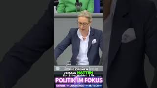 Krise für Deutschland CDU und Ampel sind Schuld Alice Weidel AfD [upl. by Asabi]