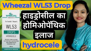 Wheezal WL53 Hydrocele Drop  Hydrocele homeopathic treatment [upl. by Ogren411]