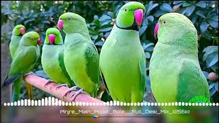 pinjre main Popat Bole Full Desi Mix aniket dj ❣️🥰 [upl. by Ettenay603]