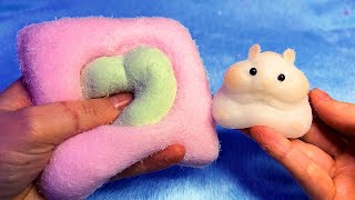 ASMR Softest Squishies in the World Most Unique Texture EVER [upl. by Suired]