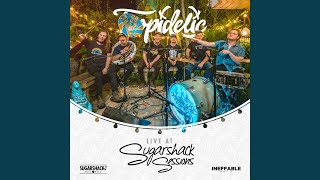 Alcoholic Live at Sugarshack Sessions [upl. by Noyk]