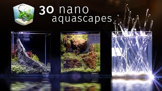 Thirty Of the Best Nano Aquascapes In America — Aquatic Experience 2017 [upl. by Isla]