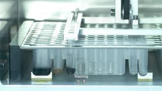 Xiamen Zeesan Lab Aid 824 Nucleic Acid Extraction System [upl. by Hcurab174]