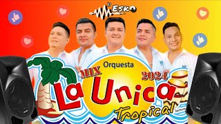 Mix La Unica Tropical  2024   Partidos en Dos  Si Esta Casa Hablara  Asesina y mas   Dj Esko [upl. by Dira]