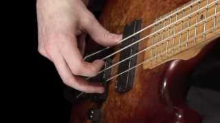 Learn Bass  How to Pluck the Strings [upl. by Housen]