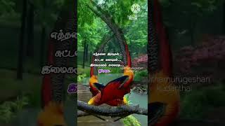 Andhimazhai pozhikirathu ILAYARAJA SPB Love hit song statusTamil lyrics fullscreen status [upl. by Refinnaj]