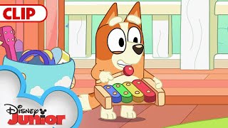 Bluey Season 1 Episode 1 quotMagic Xylophonequot Episode Clip  disneyjr​  BlueyOfficialChannel [upl. by Artemas]