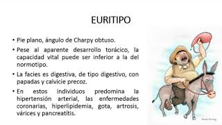 Biotipo constitucionalSEMIOLOGÍA Tipos de cuerpo ectomorfo endomorfo y mesomorfo [upl. by Sello]