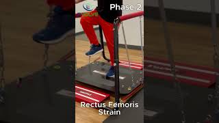 Rectus Femoris Strain Rehab Improving Dynamic Stability With Seniors  Phase 2 [upl. by Jeffries]