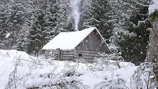 cold winter night in an abandoned hunters log cabin [upl. by Anial]