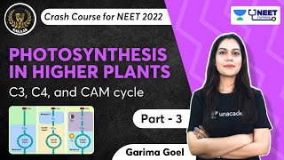 Phoenix 20 Biology Most Important Video for NEET 2025  Unacademy NEET Toppers  Udaan [upl. by Leagiba]