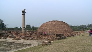 The Ashoka pillar  अशोक स्तम्भ  in Vaishali Bihar [upl. by Ahsikcin381]