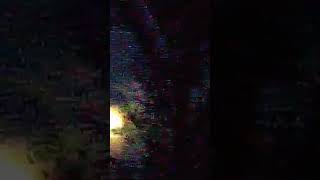 The moon in the garden 5 minutes in the garden ASMR nature moon [upl. by Graham229]