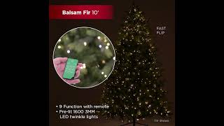 10 ft Balsam Fir Full Christmas Tree Lighting [upl. by Weiner414]