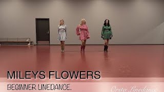 MILEYS FLOWERS  BEGINNER LINEDANCE  Trude Dalene NOR [upl. by Aynotel]