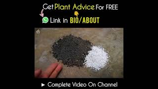 Effective Ways to Use Perlite For Plants [upl. by Beckman505]