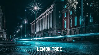 Gustixa  lemon tree ft Rxseboy Lyrics [upl. by Fridlund]