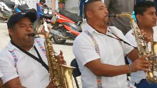 Banda la Guadalupe de Ometepec I Chilena La Malagueña Curreña [upl. by Ahsekan405]