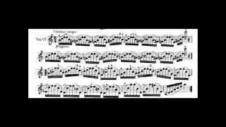 Caprice 24  Paganini  Kreisler [upl. by Newg]