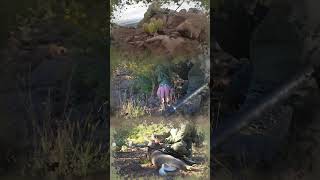 Arizona Coues Deer Hunt  Whitetail Coues Deer Hunting [upl. by Daveda]