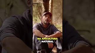 Apicultura Natural Descubra a Técnicas que te vão surpreender [upl. by Buatti]