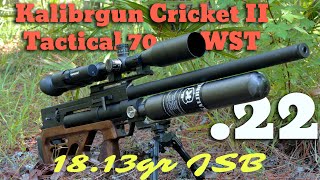 Kalibrgun Cricket II Tactical 70 WST shooting 1813gr to 100yd [upl. by Canice]