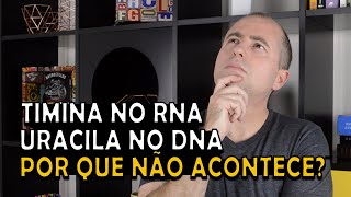 Por que não existe Uracila no DNA e Timina no RNA [upl. by Cacka534]