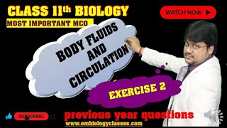 MCQs on BloodCirculatory System lev 2  परिसंचरण तंत्र  130 VVI MCQs  NEET XI [upl. by Jaenicke]