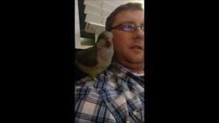 Talking with our Quaker Parrot [upl. by Harberd]