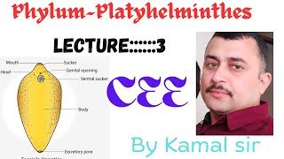 Phylum Platyhelminthes By Nepali teacher Kamal sir lecture—3 Cee Nepal [upl. by Oxford416]